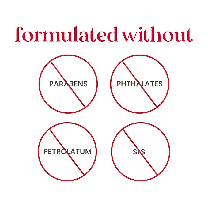 Burt's Bees Lip Balm Party Pack