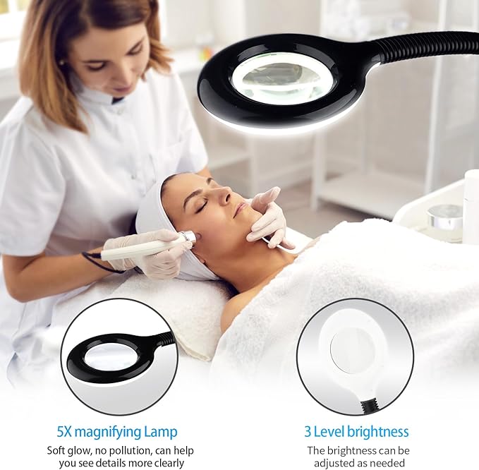 Professional Facial Steamer on Wheels, 2-in-1 Facial Steamers with 5X Magnifying Lamp, Ozone Facial Steamer for Facial Deep Cleaning, Facial Humidifier for Spa, Salon and at Home Use