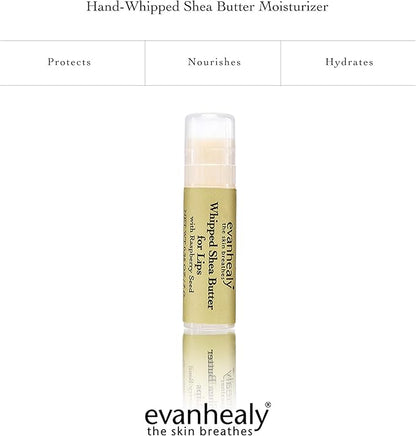 evanhealy Whipped Shea Butter for Lips Balm