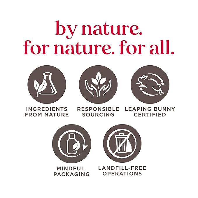 Burt's Bees Shimmer Lip Tint Set,