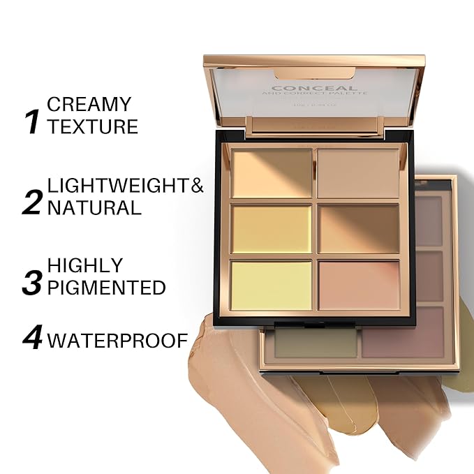FV 6 Colors Cream Concealer Palette, Full Coverage 01 L