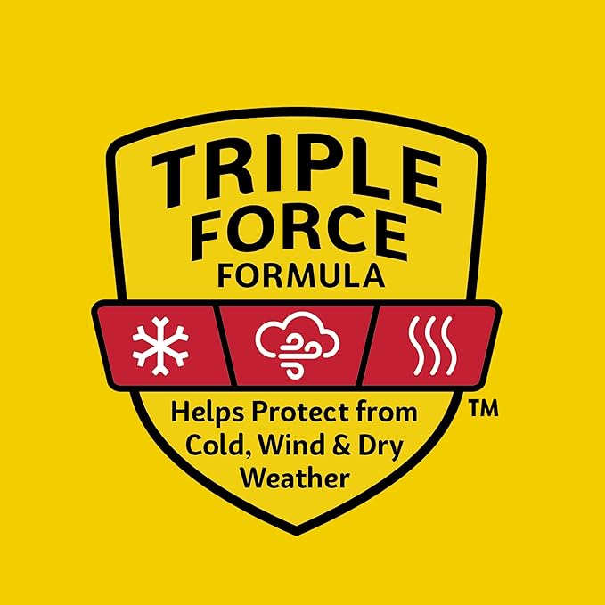 Carmex Medicated Lip Balm Sticks, Lip