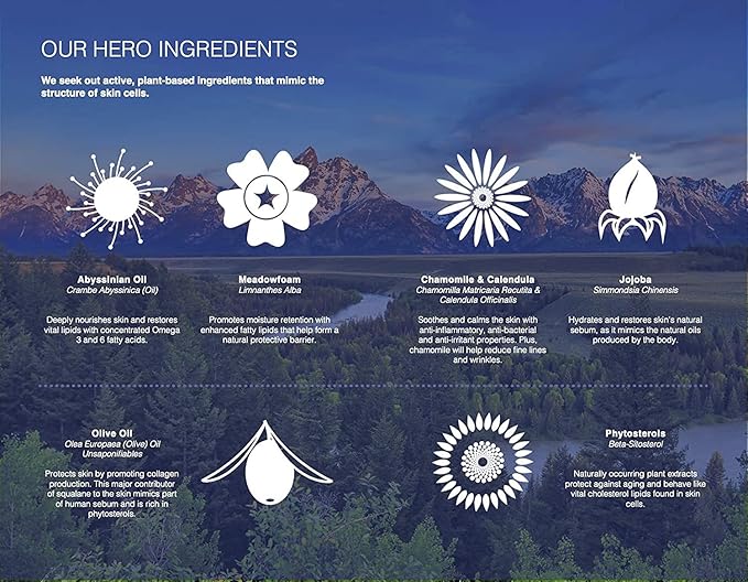 Trilipiderm Protective Day Crème, Broad Spectrum SPF 30 – Lightweight, Fast-Absorbing Moisturizing Sunscreen Protects while helps boost collagen and fight free radical damage