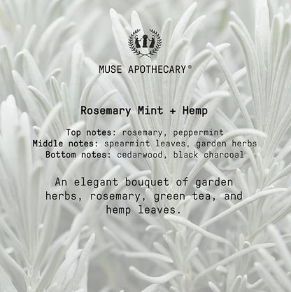 Muse Apothecary Hand Ritual - Aromatic 16 oz