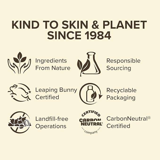 Burt's Bees Chai Tea Lip Balm