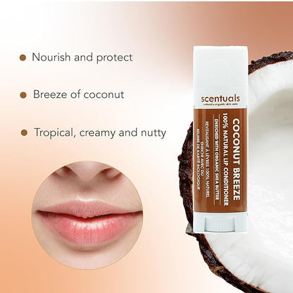 Lip Balm Set of 3, Made Natural