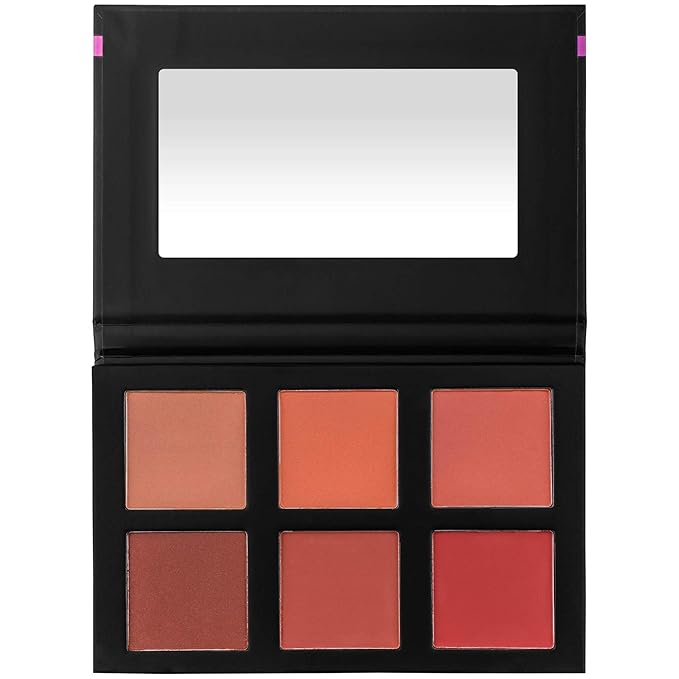 SHANY Shimmer & Matte Powder Blush Makeup Palette