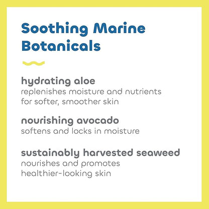 Seaweed Bath Co. Clear Guard SPF 40 Sport Broad Spectrum Sunscreen Spray, 6 Ounce, Sustainably Harvested Seaweed, Aloe, Avocado Oil