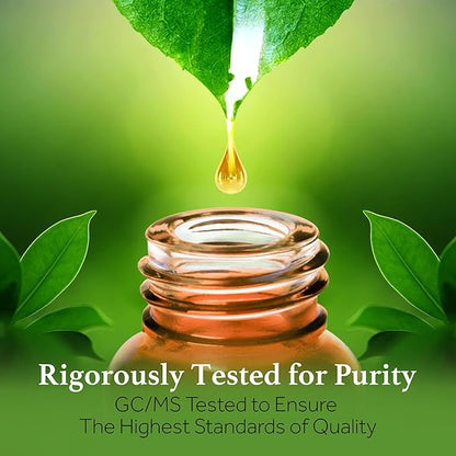 Botanicals - Wintergreen Oil - 15 ml