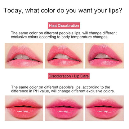 3 Pack Aloe Vera Lipstick, LemonSac Long Lasting Long