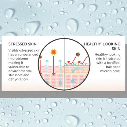 Consult Beaute - MICROBIOME Skin Barrier Moisture Balancing Skin Care Trio - Serum Concentrate, Hydrating Facial Cream & Kombucha Face Wash - For All Skin Types - Lightweight - For Women and Men