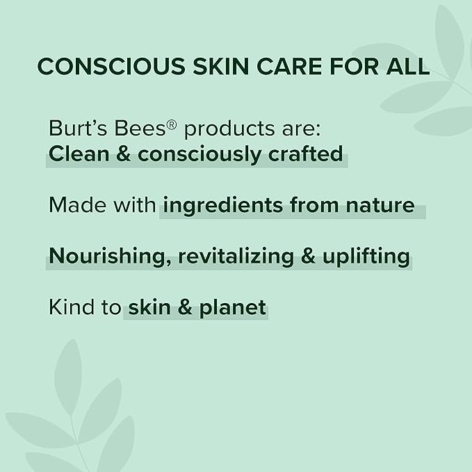 Burt's Bees 100% Natural Moisturizing Gloss Lip Crayon, Santorini Sunrise - 1 Crayon