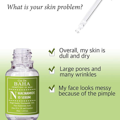 Niacinamide 10% + Zinc PCA 1% Serum for Face - Pore Reducer + Uneven Skin Tone Treatment + Diminishes Acne Prone, Skin Balancing Pore Reducing, Restores Elasticity, 1 Fl Oz (30ml)