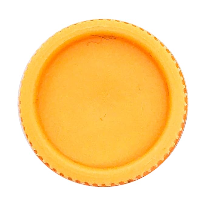 Burts Bees Salted Carmel Lip Balm,