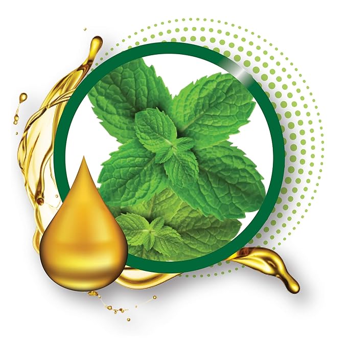 6-PACKS Kiss Broadway Clear Lip Gloss (Mint Oil) Gloss