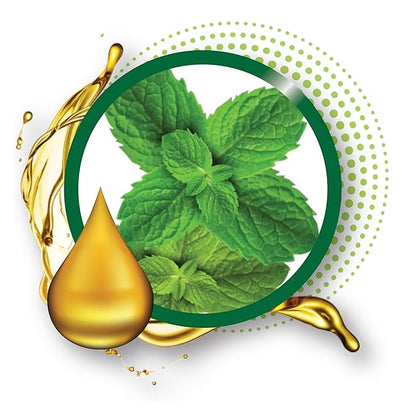 6-PACKS Kiss Broadway Clear Lip Gloss (Mint Oil) Gloss