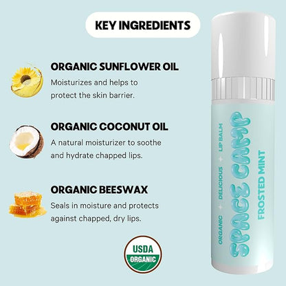 Wellness Jumbo Lip Balm - Frosted