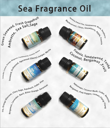 HIQILI Fragrance Oil, Gold Coast 6x10ml for Candle Scents Making, Scented Oils for Soy Candles Soap Slime Aromatherapy Diffuser, Premium Grade Essential Oil Set for Christmas Holiday