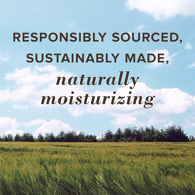 Burt's Bees Lip Balm - Mango,