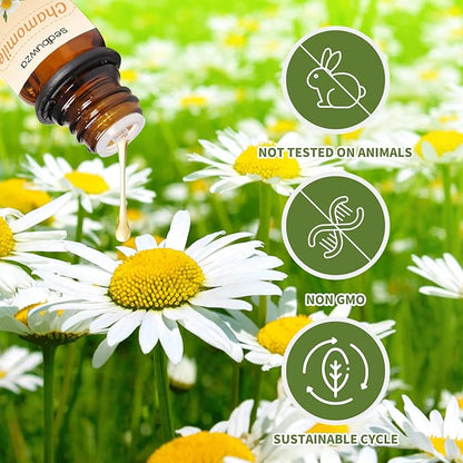 Sedbuwza Sandalwood Chamomile Essential Oil Set, Sandalwood Fragrance Oil Chamomile Scent Oil Set for Diffuser, Aromatherapy, Massage, Soap, Candle Making 2 x 10 ml