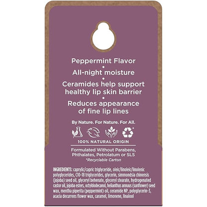 Burt's Bees Overnight Intensive Lip Treatment,