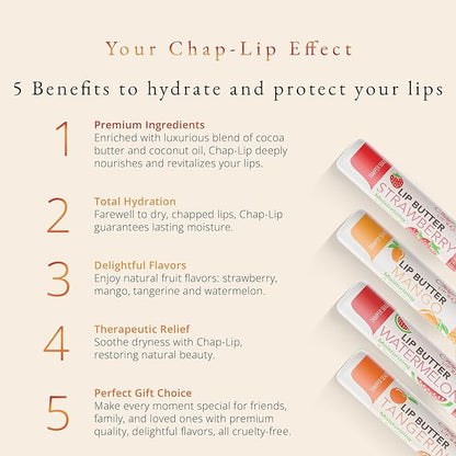 CHAP-LIP Original Lip Balm Hydrating Bulk Gift