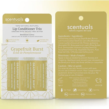 Lip Balm Set of 3, Made Natural