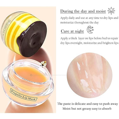 Lip Balm Honey Pot, Propolis Moisturizing Sleeping