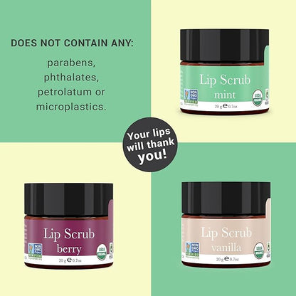 Organic Lip Scrub Mint - USA