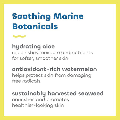 Seaweed Bath Co. Active Defense SPF 50 Sport Broad Spectrum Hybrid Sunscreen Cream, 3.4 Ounce (Pack of 2), Sustainably Harvested Seaweed, Aloe, Watermelon