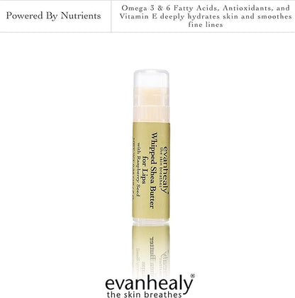 evanhealy Whipped Shea Butter for Lips Balm