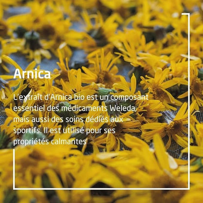 Weleda 9920 Arnica Massage Oil 50 ml