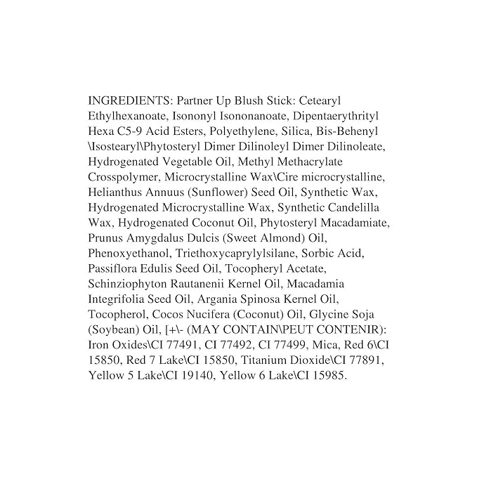 wet n wild Partner Up Blush Stick I'm