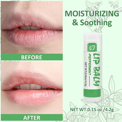 24 Pack Lip Balm Bulk, Vanilla