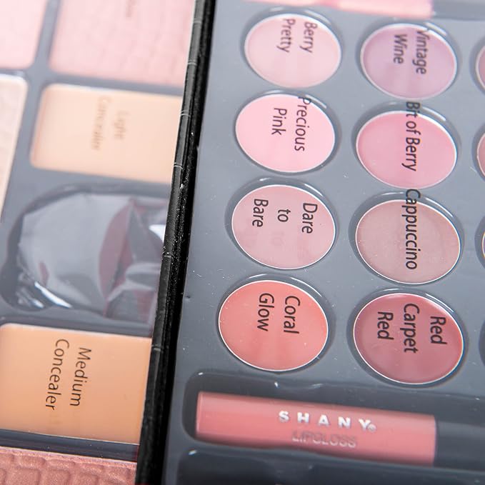 SHANY All In One Makeup Kit