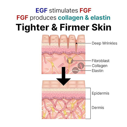 LANBELLE Ultra Lifting EGF FGF 10 ppm Ampoule Serum w/Centella Asiatica Hyaluronic Acids | Improves Skin Balance Elasticity Reduces Fine Lines Blemish Spots Hydrating Korean Skincare