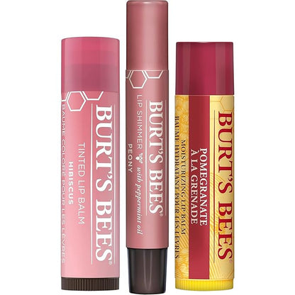 Burt's Bees Mistletoe Kiss Lip Care Pomegranate,