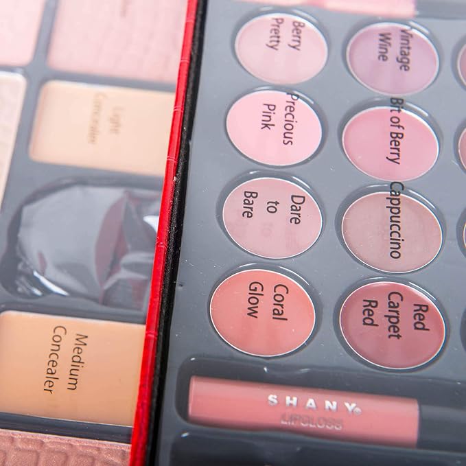 SHANY All In One Makeup Kit