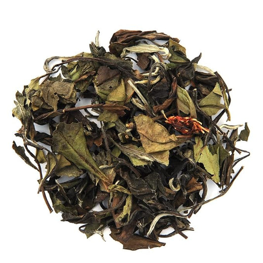 Organic Positively Tea Company, White Champagne Raspberry White Tea, Loose Leaf, 16 Ounce