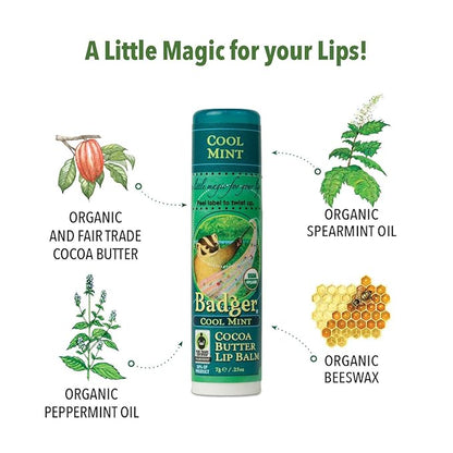 Badger - Cocoa Butter Lip Balm, oz