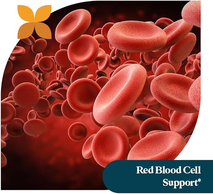 Pattern Wellness Vitamin B Complex Supplement - Complete Dose of Essential B Vitamins - Cognitive & Cell Support - 3rd Party Lab Tested - 60 Capsules