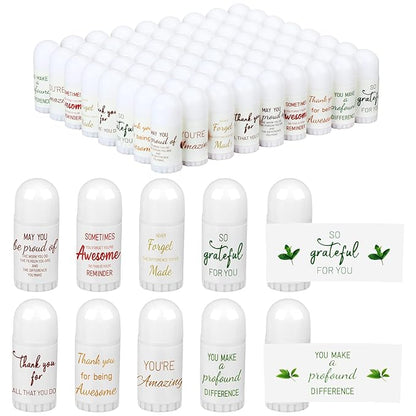 72 Pcs Mini Lip Balm Bulk All