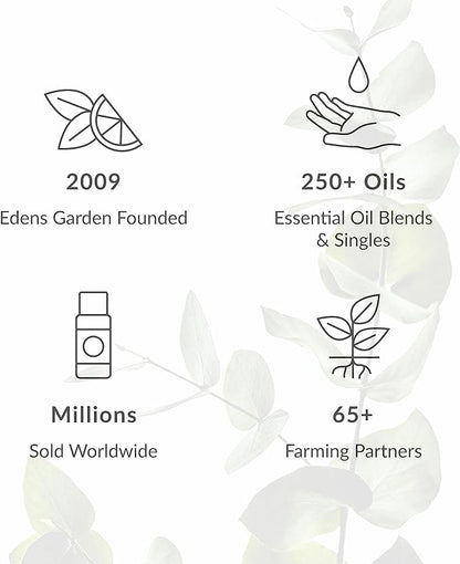 Edens Garden Common Cold Aid Essential Oil Roll-On Blend- 100% Pure Premium Grade, Natural, Therapeutic, Aromatherapy, Kid & Skin Safe, The Best for Health, Relaxation Pre-Diluted 10 ml (.33 fl oz)