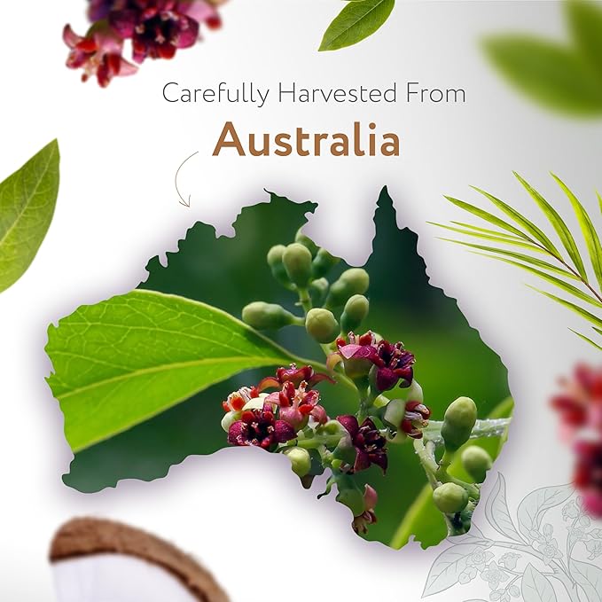 HBNO Organic Australian Sandalwood Essential Oil Roll-On -1/3oz(10 ml) Travel Size-USDA Certified Organic Sandalwood and Mct OilsPerfect for Traveling,Aromatherapy,Massage,perfumes,moisturizer