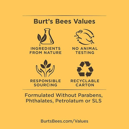 Burt's Bees 100% Natural Origin Moisturizing