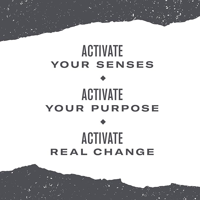 Numi Organic Golden Chai Tea, 18 Tea Bags (Pack of 3) Assam Black Tea, Cardamom, Ginger & Anise