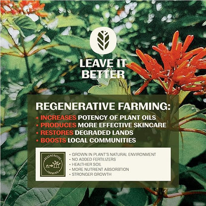 Thrive Reef Safe Sunscreen SPF50 - Hawaii 104 Reef Act Compliant - Mineral Sunscreen Non-Nano Zinc Oxide - Vegan, (5.8 Oz (Pack of 1))