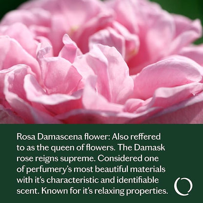 LIVEDROPS 24/7 Confident Essential Oil Blend - Crafted in France - Rose Damascena, Pink Pepper & Blackcurrant Bud Oil. Pure & Natural - Apply Directly on Skin or in Diffuser - Clinically Tested