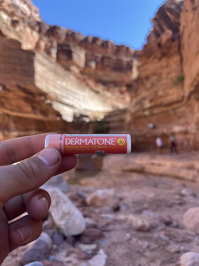 Dermatone Pomegranate Lip Balm | Moisturizing