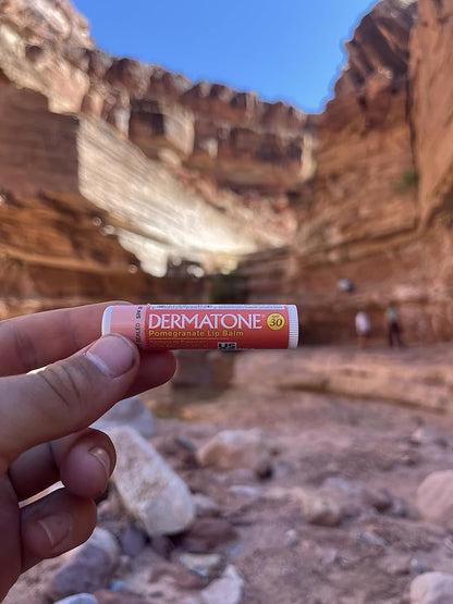 Dermatone Pomegranate Lip Balm | Moisturizing